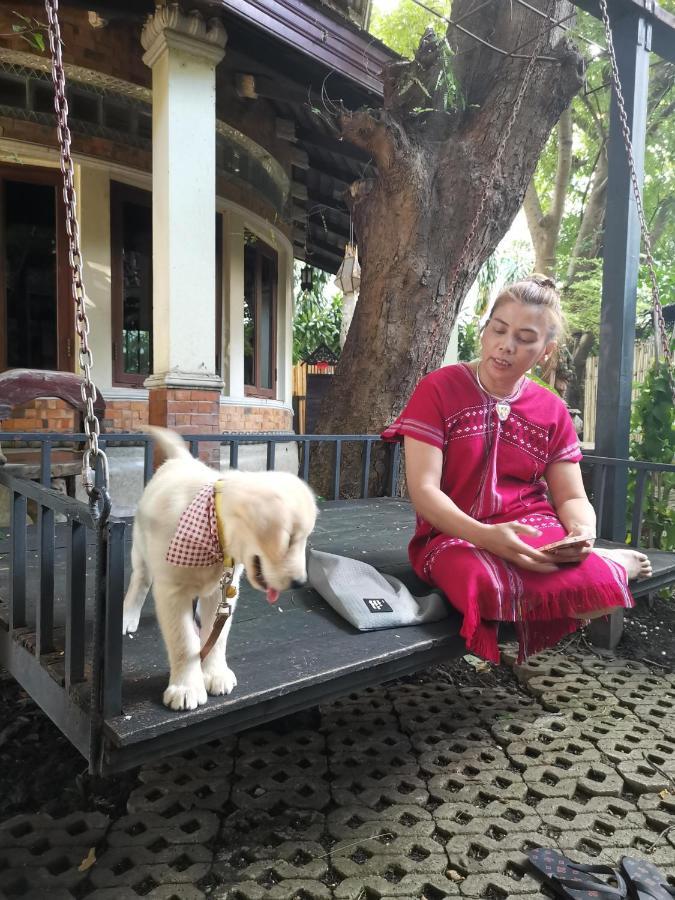 Avara Signature House Hotel Chiang Mai Ngoại thất bức ảnh